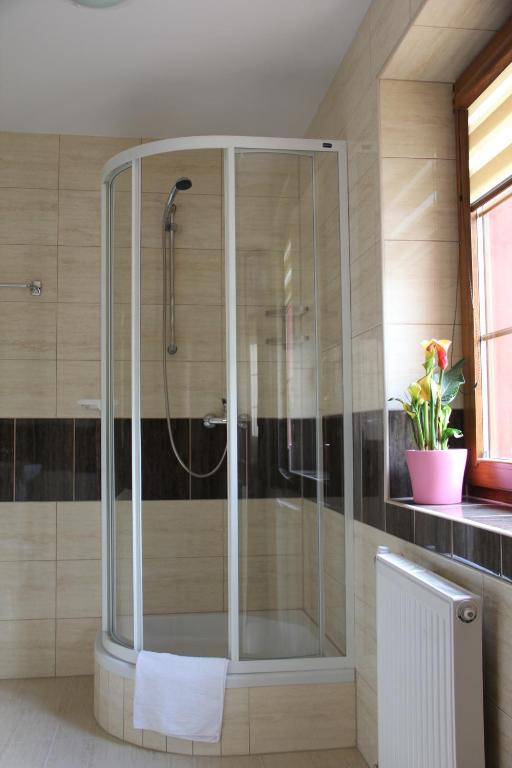 Apartamenty Pod Lwem シュフィドニツァ 部屋 写真